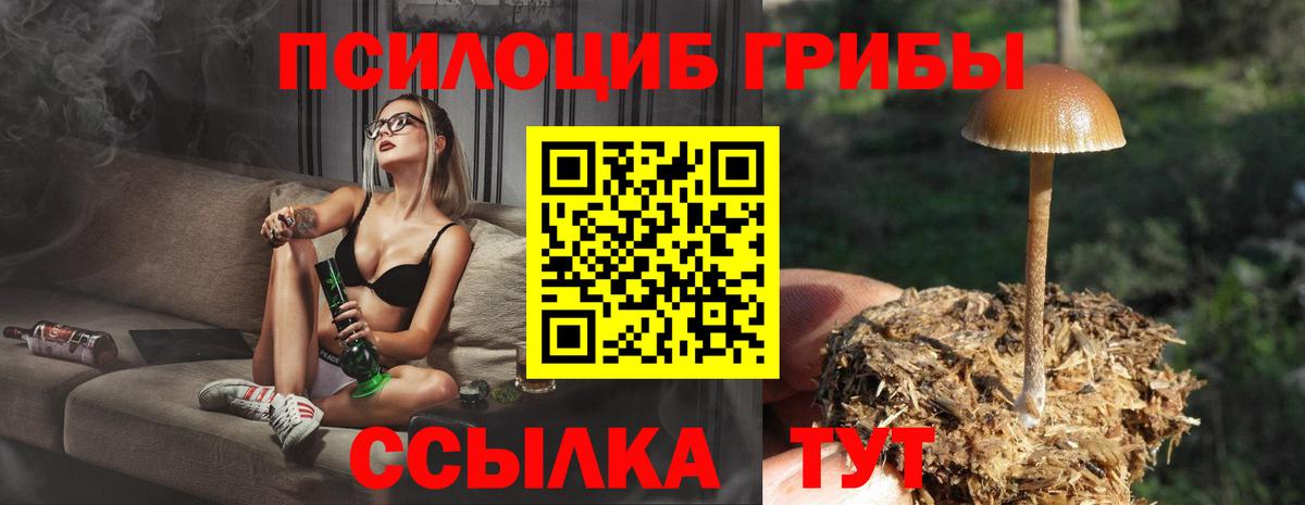 Псилоцибиновые грибы GOLDEN TEACHER Таганрог